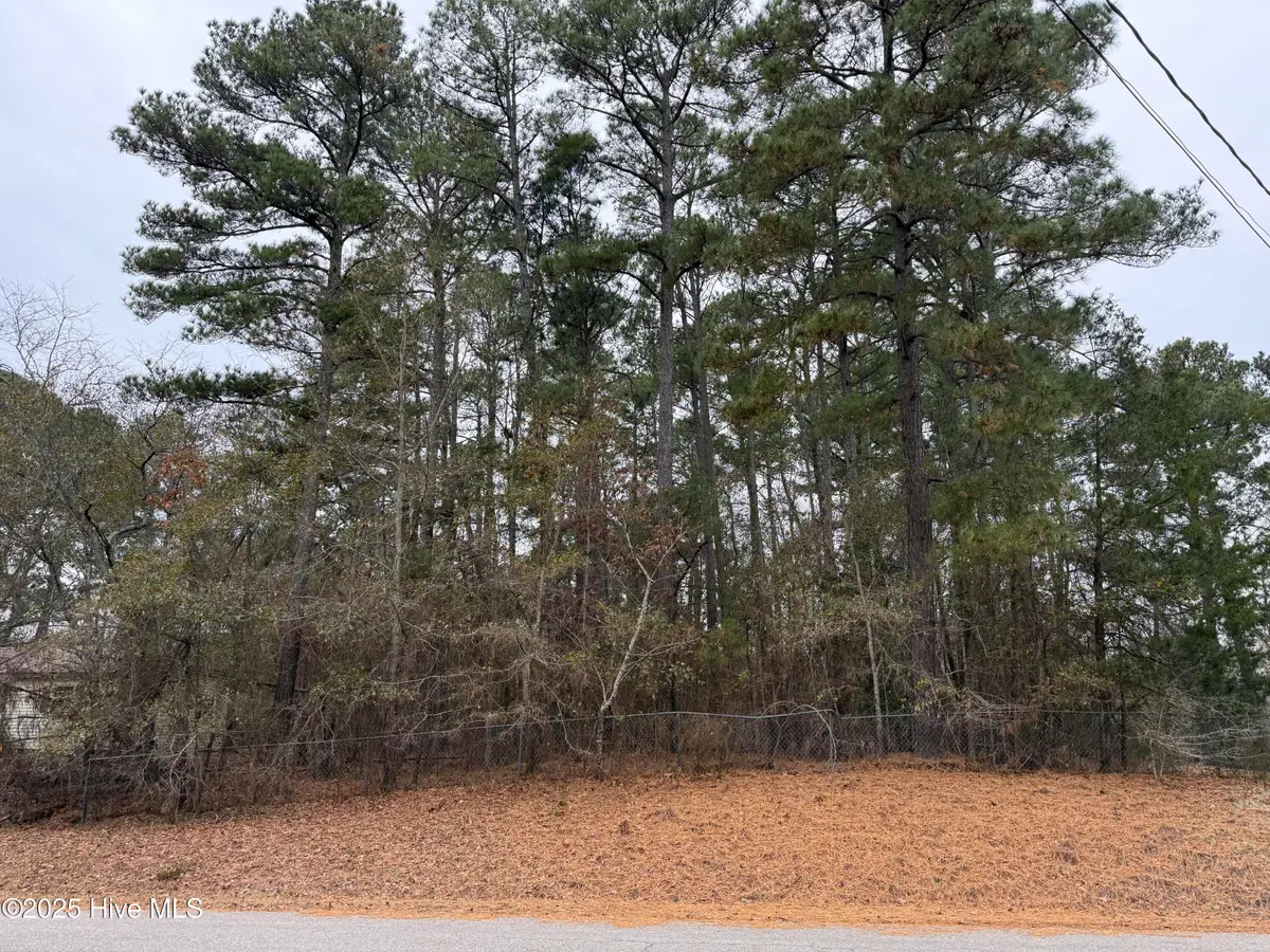 Lot 6 Green Acres Road, Carthage, NC 28327 - Image #1