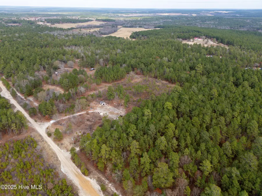 342 Ponderosa Drive, Hamlet, NC 28345 - Image #3