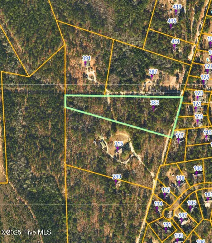 383 Ellis Lane, West End, NC 27376 - Image #3