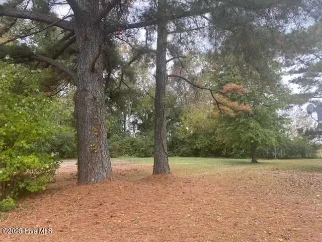 413 Pecan Street, Robersonville, NC 27871 - Image #3