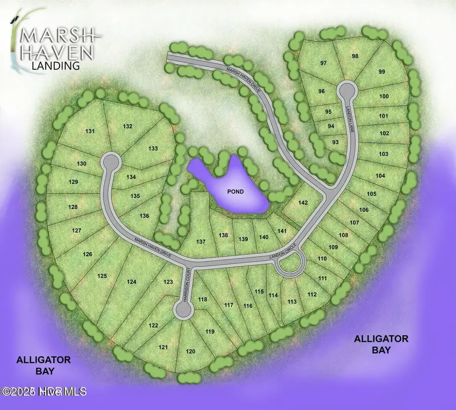 348 Landon Lane, Sneads Ferry, NC 28460 - Image #3