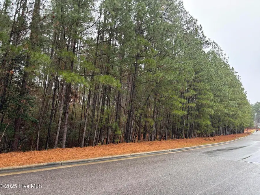 40 Chestertown Drive, Pinehurst, NC 28374 - Image #2