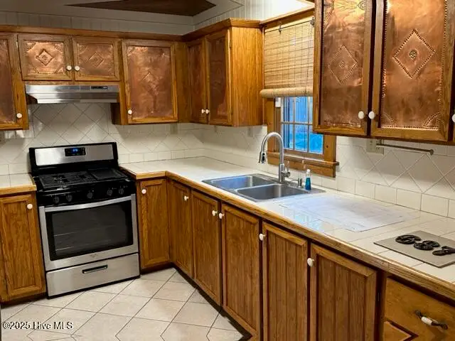 687 Alligator Creek Road, Merritt, NC 28556 - Image #3