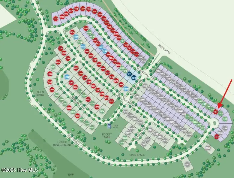 5920 Moonshell Loop #1151, Wilmington, NC 28412 - Image #3