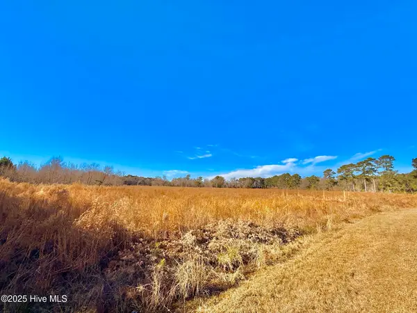 12.05 Acre Near 861 Marietta Rd, Fairmont, NC 28340