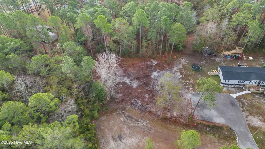 Lot 10 Dorado Lane, Boiling Spring Lakes, NC 28461 - Image #2