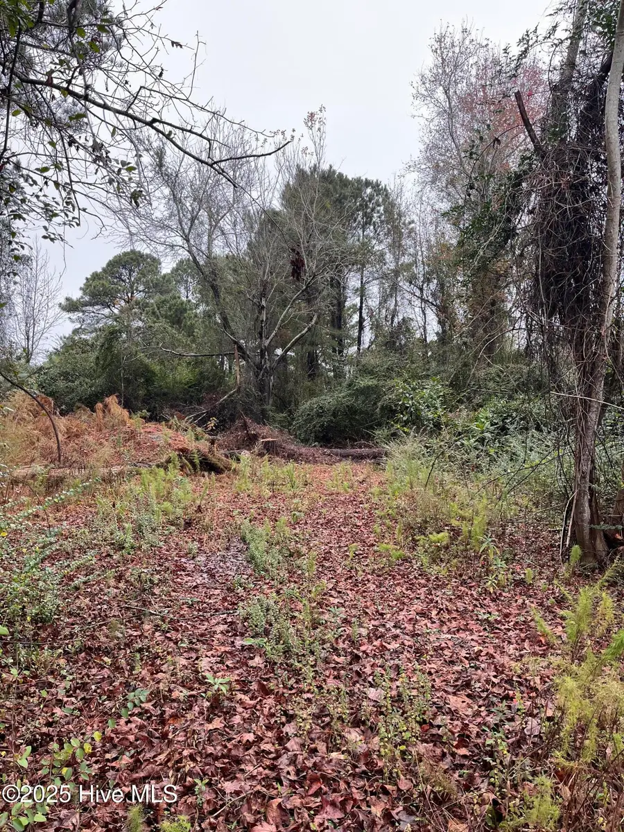 202 South Drive, Beaufort, NC 28516 - Image #3