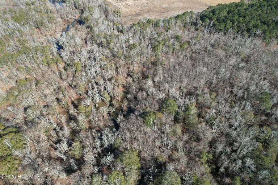 0 Macedonia Church Road, Evergreen, NC 28438 - Image #2