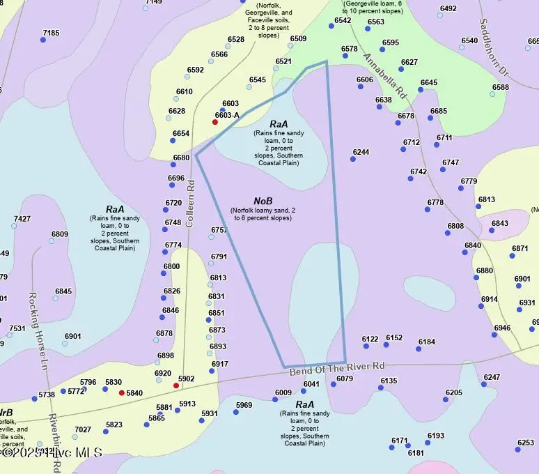 0 Bend Of The River Road, Rocky Mount, NC 27803 - #3