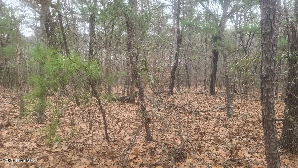 Tbd Union Church Road, Carthage, NC 28327 - Image #1