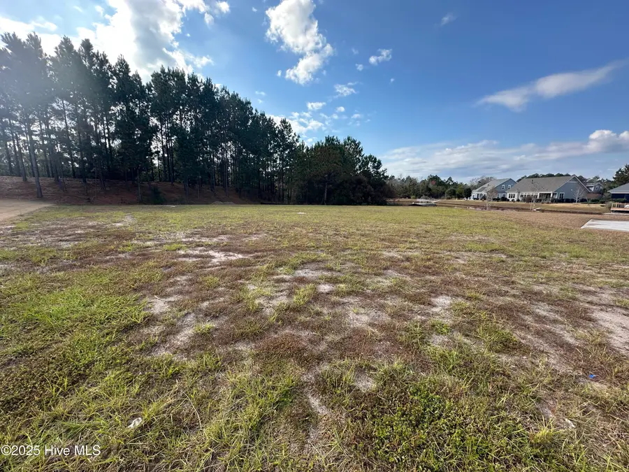 2216 Palm Pointe Ne, Leland, NC 28451 - Image #3