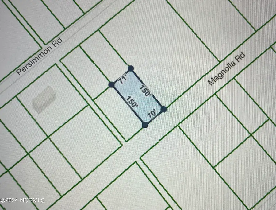 322 & 323 Magnolia Road Road, Boiling Spring Lakes, NC 28461 - Image #3