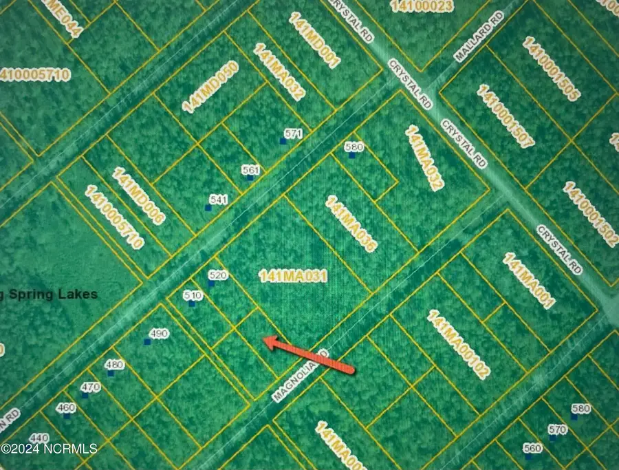 323 Magnolia Road Road, Boiling Spring Lakes, NC 28461 - Image #3