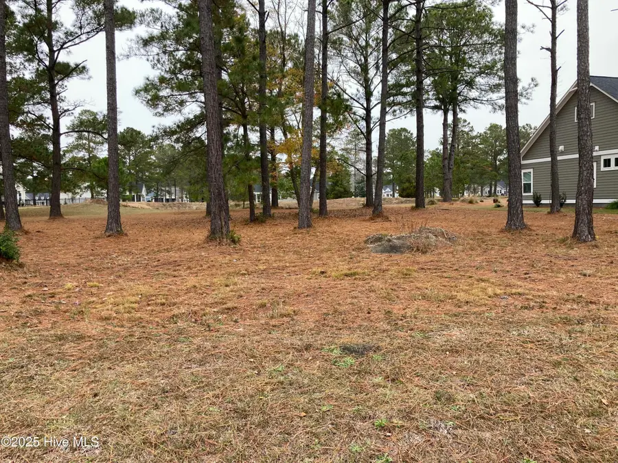 1036 Crosby Circle Sw, Sunset Beach, NC 28468 - Image #2