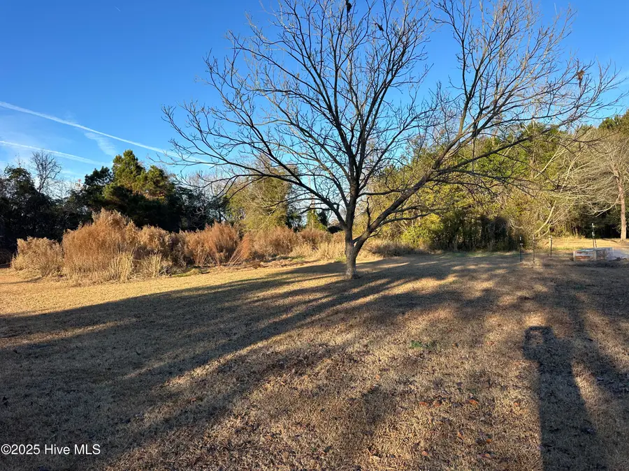 814 Luther Banks Road, Beulaville, NC 28518 - Image #2