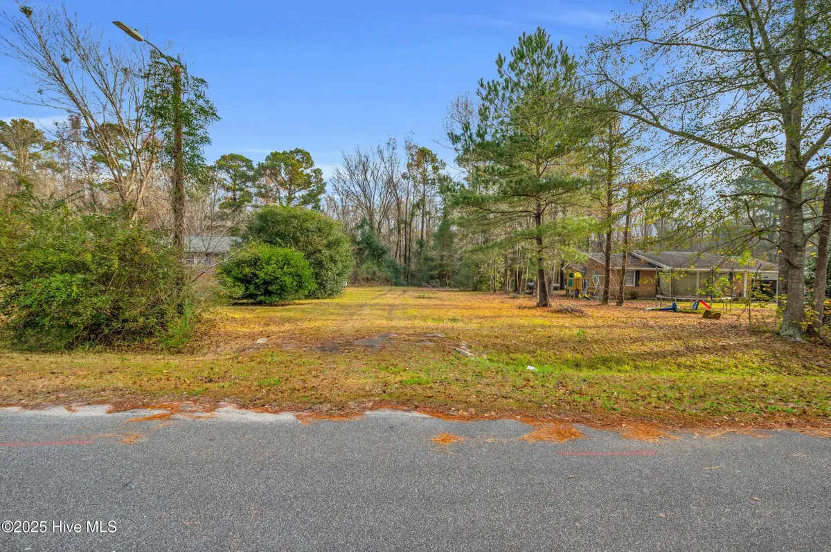 14 Crabapple Lane, Lake Waccamaw, NC 28450 - Image #1