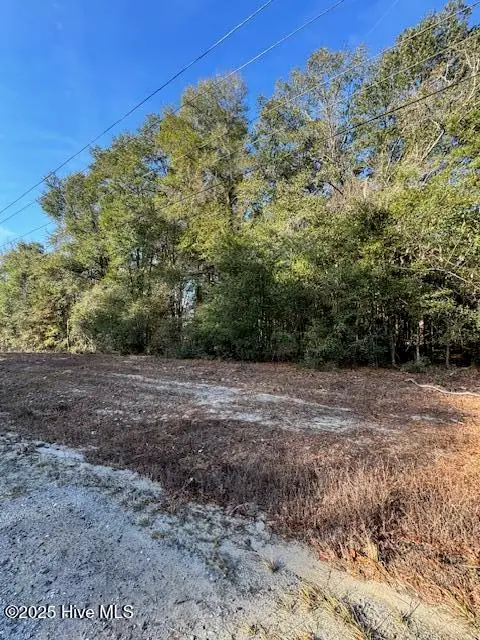 0 Garland Highway, Garland, NC 28441 - Image #3