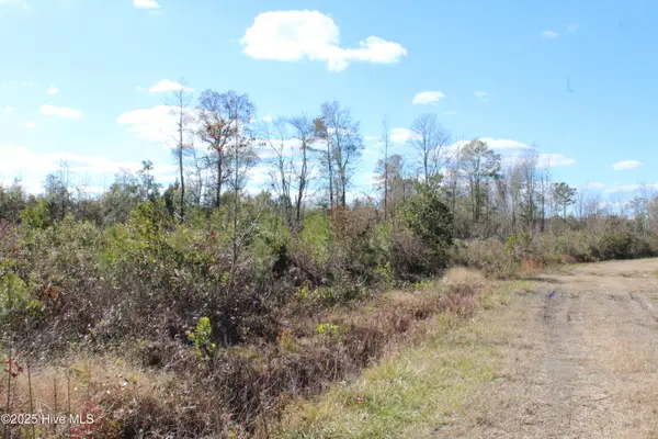Lot 1 Richlands Road, Trenton, NC 28585