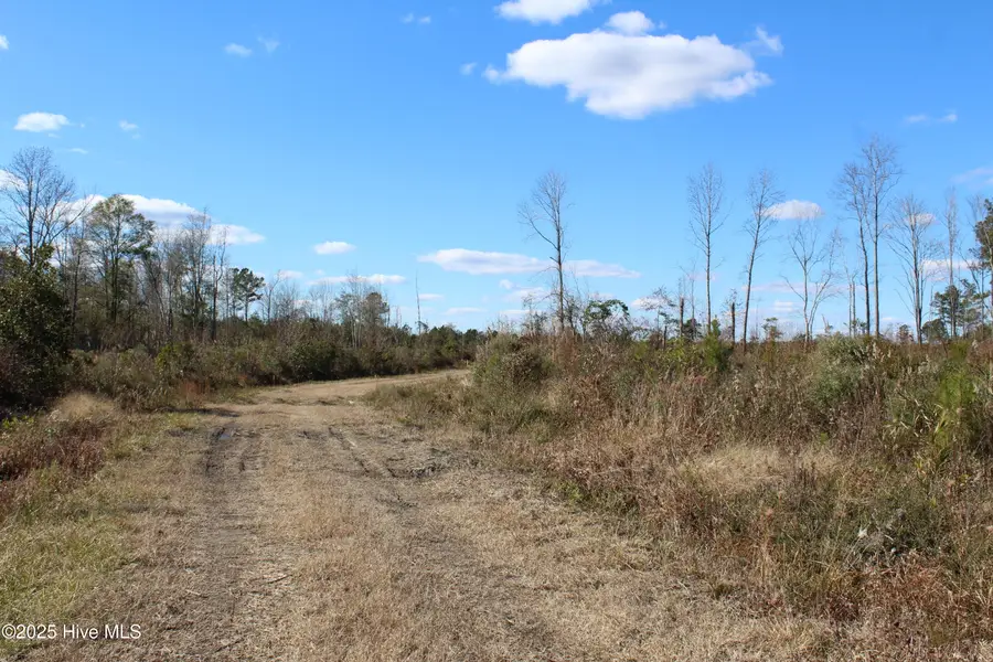 Lot 1 Richlands Road, Trenton, NC 28585 - Image #2