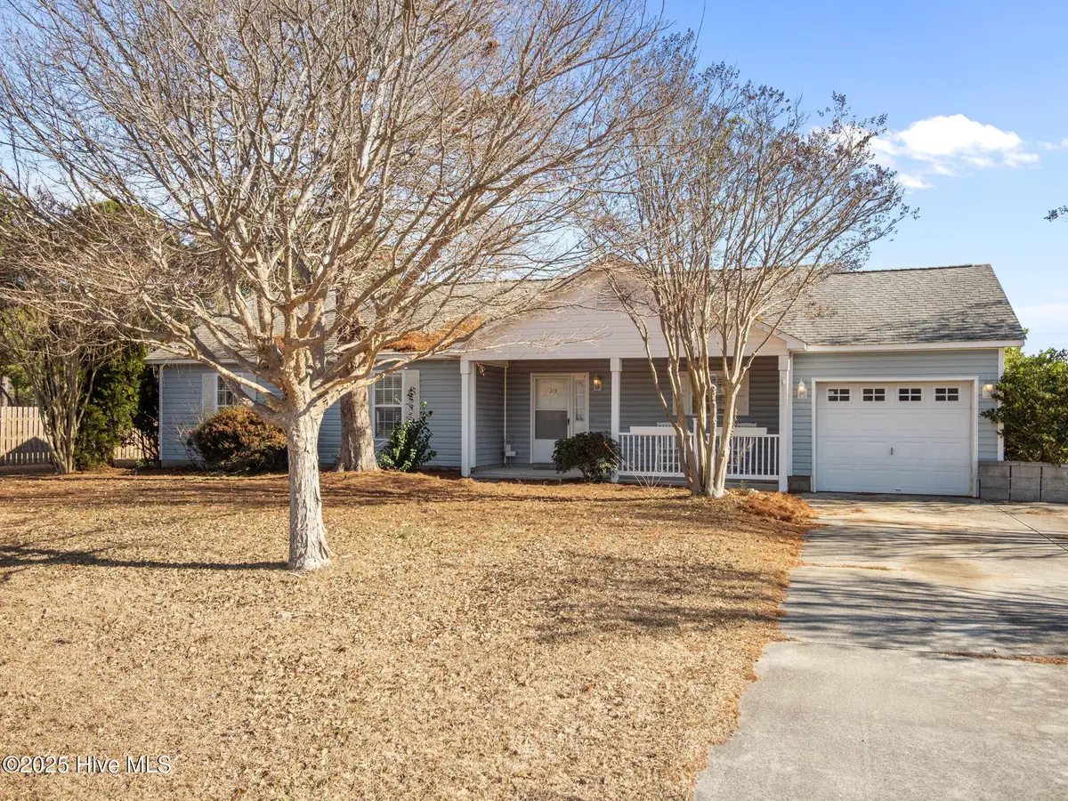 213 Palomino Lane, Swansboro, NC 28584 - Image #1