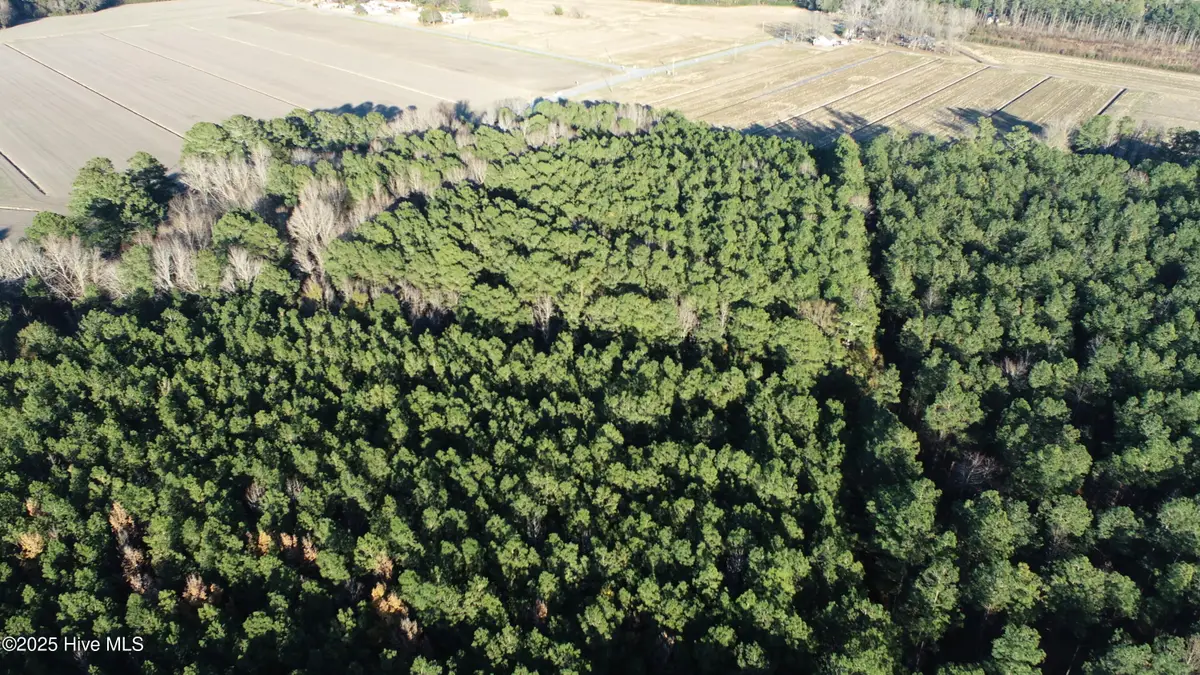 0 U.s. 264, Belhaven, NC 27810 - Image #1