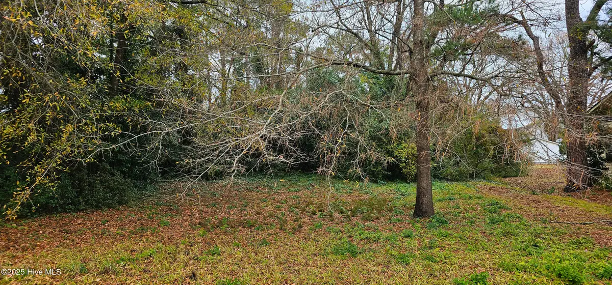 207 E South Street E, Rose Hill, NC 28458 - Image #1