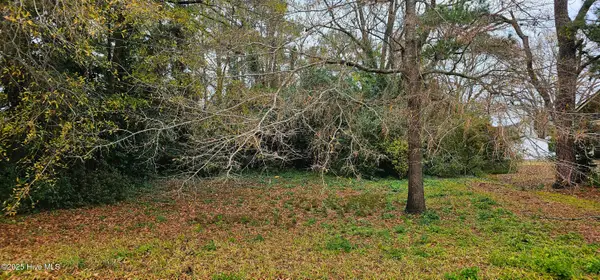 207 E South Street E, Rose Hill, NC 28458