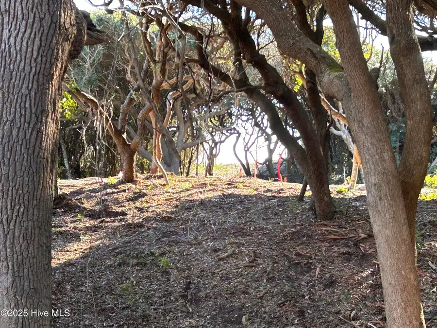 106 Roosevelt Reserve Park Place, Pine Knoll Shores, NC 28512 - Image #3