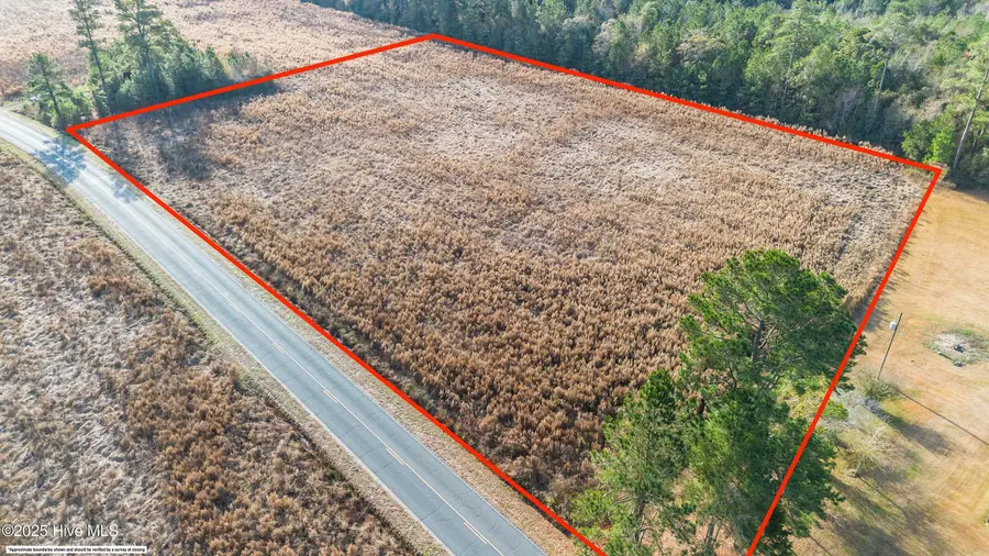 6.5ac Buckhorn Road, Willard, NC 28478 - Image #3