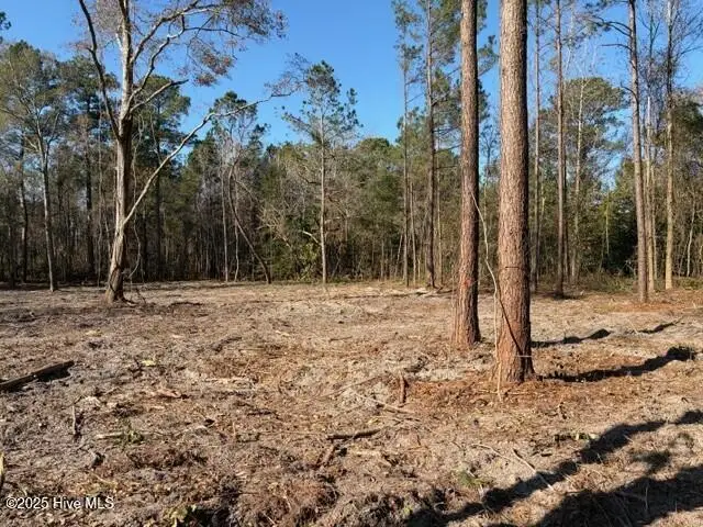 4401 Smith Trail Ne, Leland, NC 28451 - Image #2