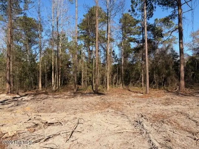 4401 Smith Trail Ne, Leland, NC 28451 - Image #3