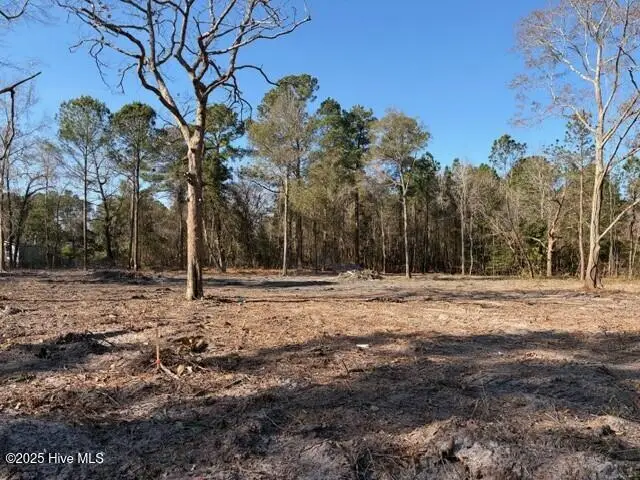 4402 Smith Trail Ne, Leland, NC 28451 - Image #2