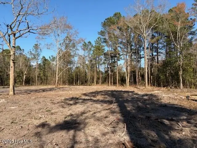 4403 Smith Trail Ne, Leland, NC 28451 - Image #3