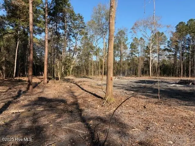 4404 Smith Trail Ne, Leland, NC 28451 - Image #1