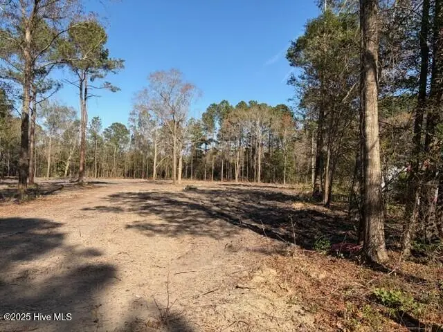 4404 Smith Trail Ne, Leland, NC 28451 - Image #2