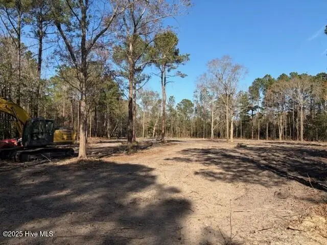 4404 Smith Trail Ne, Leland, NC 28451 - Image #3