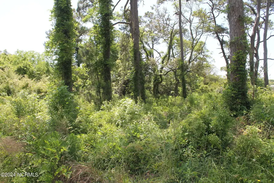 4143 Harrison Road Sw, Shallotte, NC 28470 - Image #3