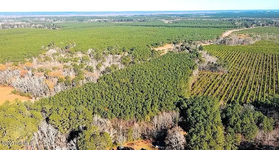 648 Nc 45 S, Cofield, NC 27922 - Image #3