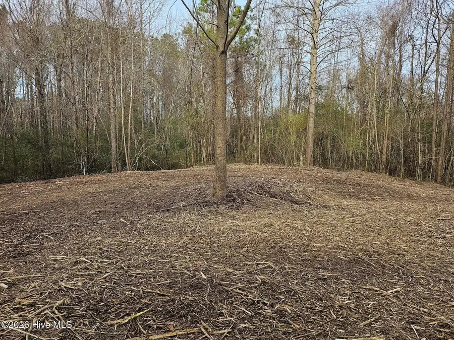 227 Langley Road, Chocowinity, NC 27817 - #2