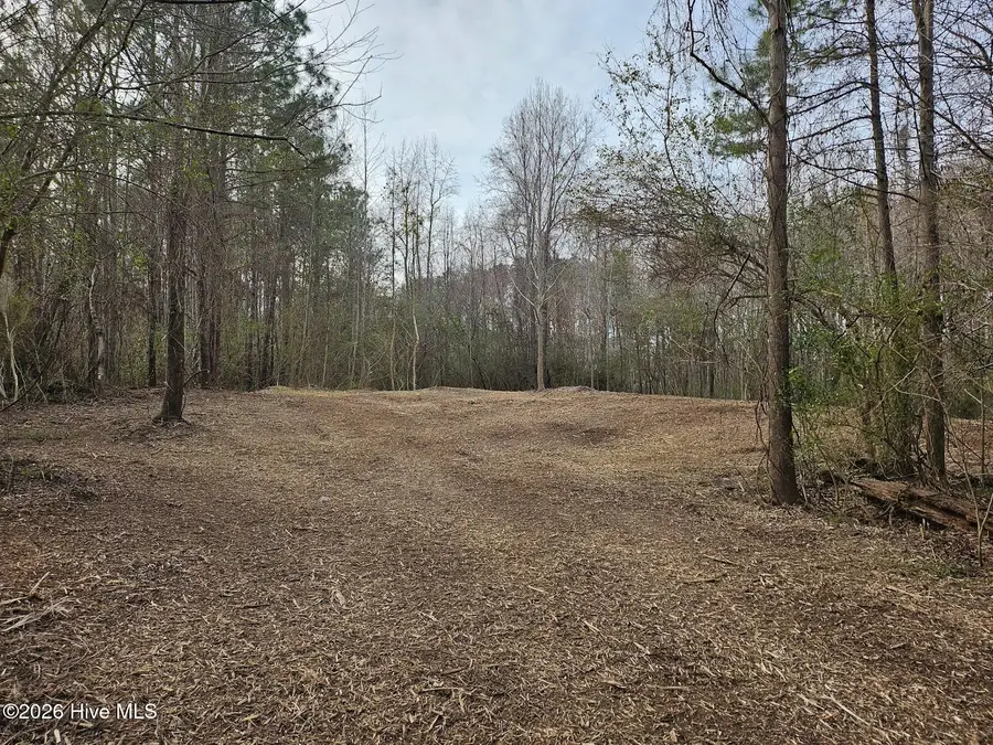 227 Langley Road, Chocowinity, NC 27817 - #3