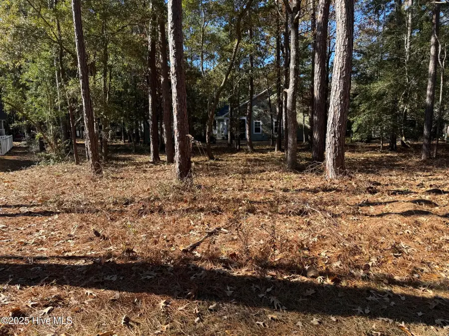 3255 Mooring Drive Se, Bolivia, NC 28422 - Image #3
