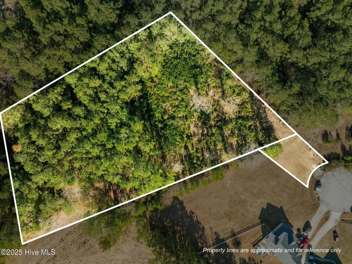 Tr1 & Tr2 Michelle Ward Lane, Maple Hill, NC 28454 - Image #1