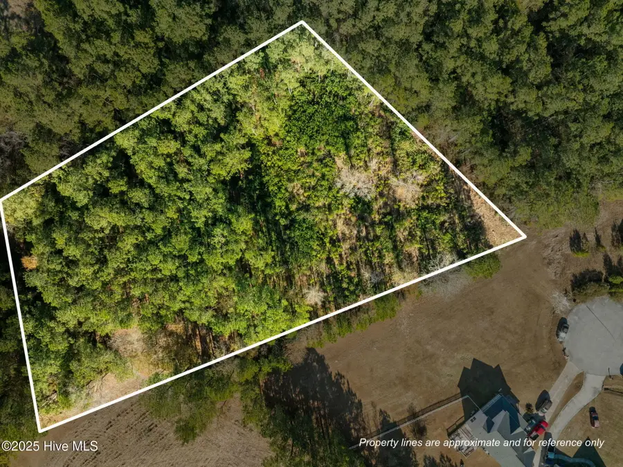 Tr1 & Tr2 Michelle Ward Lane, Maple Hill, NC 28454 - Image #2