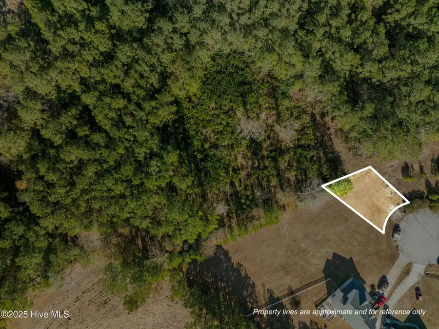 Tr1 & Tr2 Michelle Ward Lane, Maple Hill, NC 28454 - Image #3