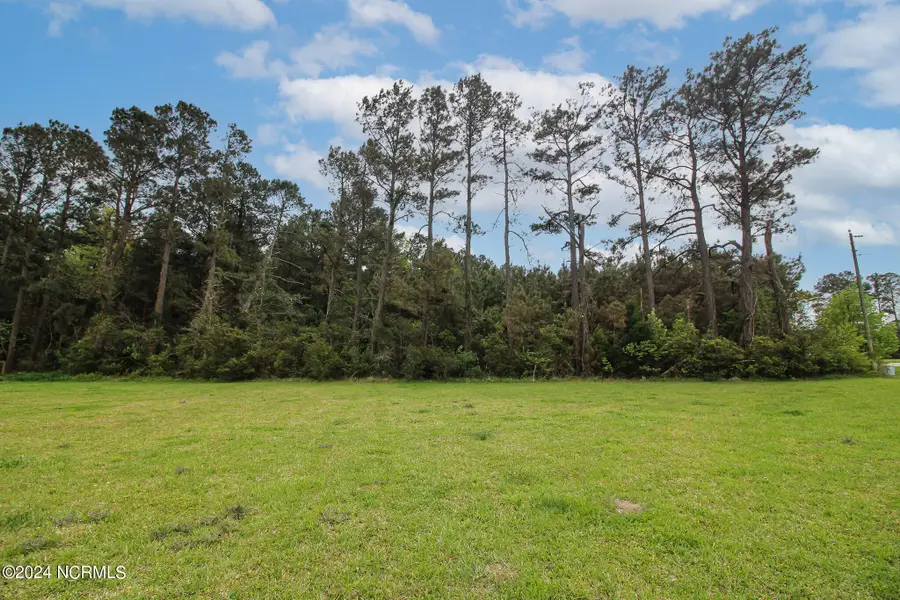 1125 Bluebill Drive, Havelock, NC 28532 - Image #3