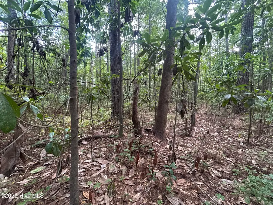 13 Rockhill Road, Castle Hayne, NC 28429 - Image #2