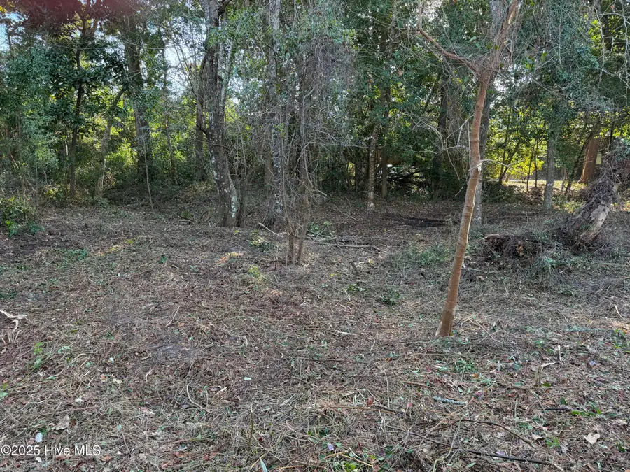 150 Arborvitae Drive, Pine Knoll Shores, NC 28512 - Image #2