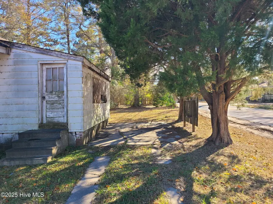 313 W Williams Street, Burgaw, NC 28425 - Image #3