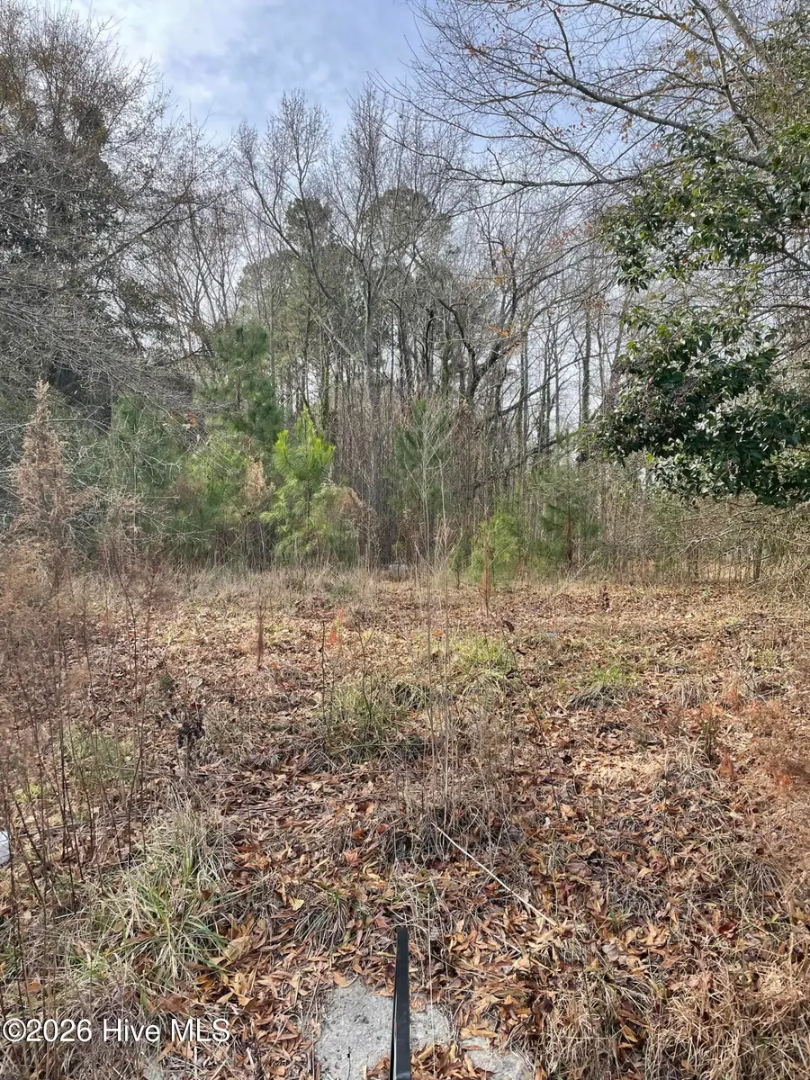 0 W Albertson Bldg Street, Winfall, NC 27985 - #2