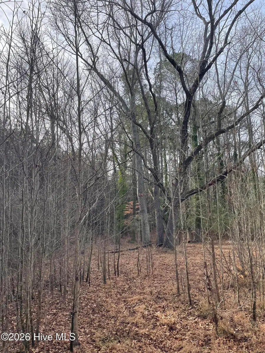 0 W Albertson Bldg Street, Winfall, NC 27985 - #3